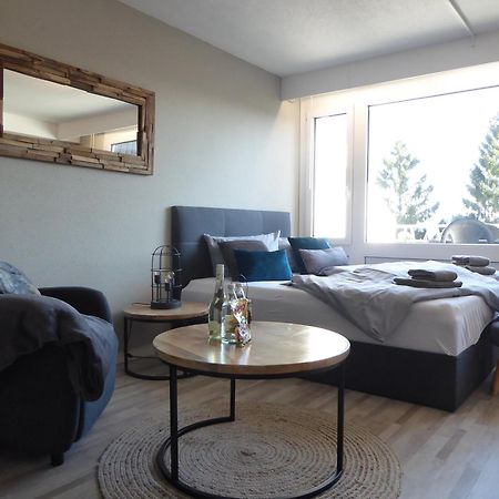 Mountain Suite Winterberg Pool Sauna Hund 4 Pers Wifi Near Bikepark מראה חיצוני תמונה